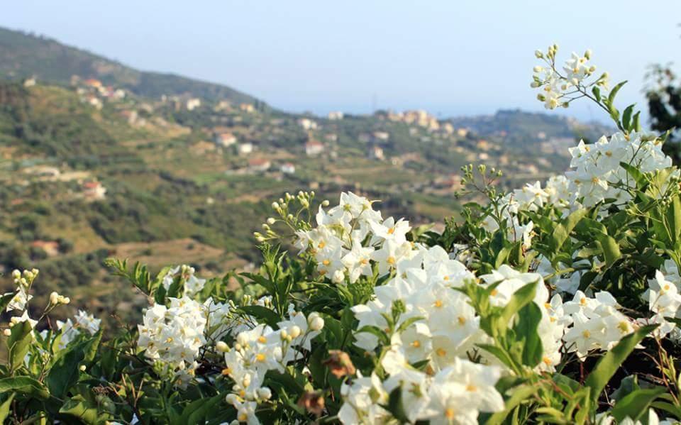 Agriturismo Da Lui Бордигера Экстерьер фото